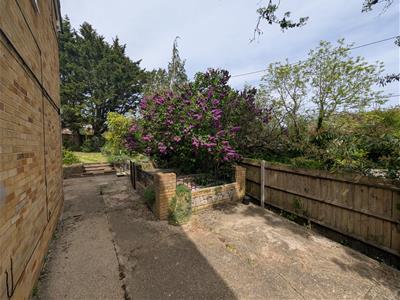 Picture 21